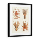 Octopus En 4 Paneles - Fab Funky | Cuadro decorativo de Canvas Lab