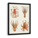 Octopus En 4 Paneles - Fab Funky | Cuadro decorativo de Canvas Lab