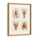 Octopus En 4 Paneles - Fab Funky | Cuadro decorativo de Canvas Lab