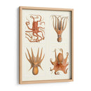 Octopus En 4 Paneles - Fab Funky | Cuadro decorativo de Canvas Lab