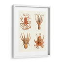 Octopus En 4 Paneles - Fab Funky | Cuadro decorativo de Canvas Lab