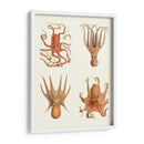 Octopus En 4 Paneles - Fab Funky | Cuadro decorativo de Canvas Lab