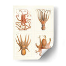 Octopus En 4 Paneles - Fab Funky | Cuadro decorativo de Canvas Lab