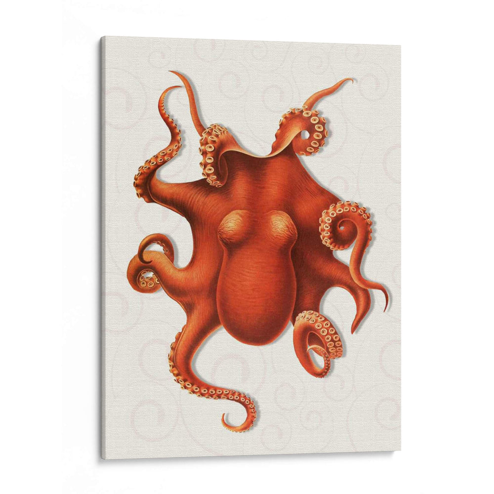Octopus 4 Naranja - Fab Funky | Cuadro decorativo de Canvas Lab