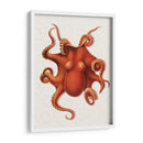Octopus 4 Naranja - Fab Funky | Cuadro decorativo de Canvas Lab