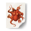 Octopus 4 Naranja - Fab Funky | Cuadro decorativo de Canvas Lab