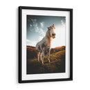Caballo en la montaña | Cuadro decorativo de Canvas Lab