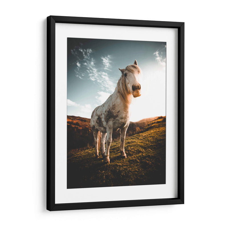 Caballo en la montaña | Cuadro decorativo de Canvas Lab