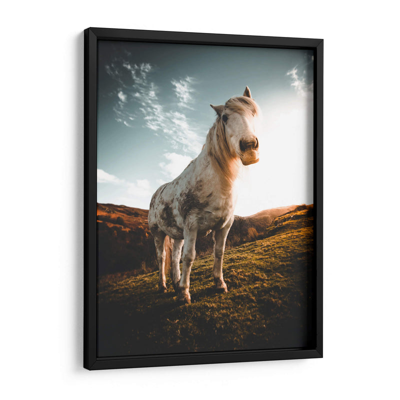 Caballo en la montaña | Cuadro decorativo de Canvas Lab