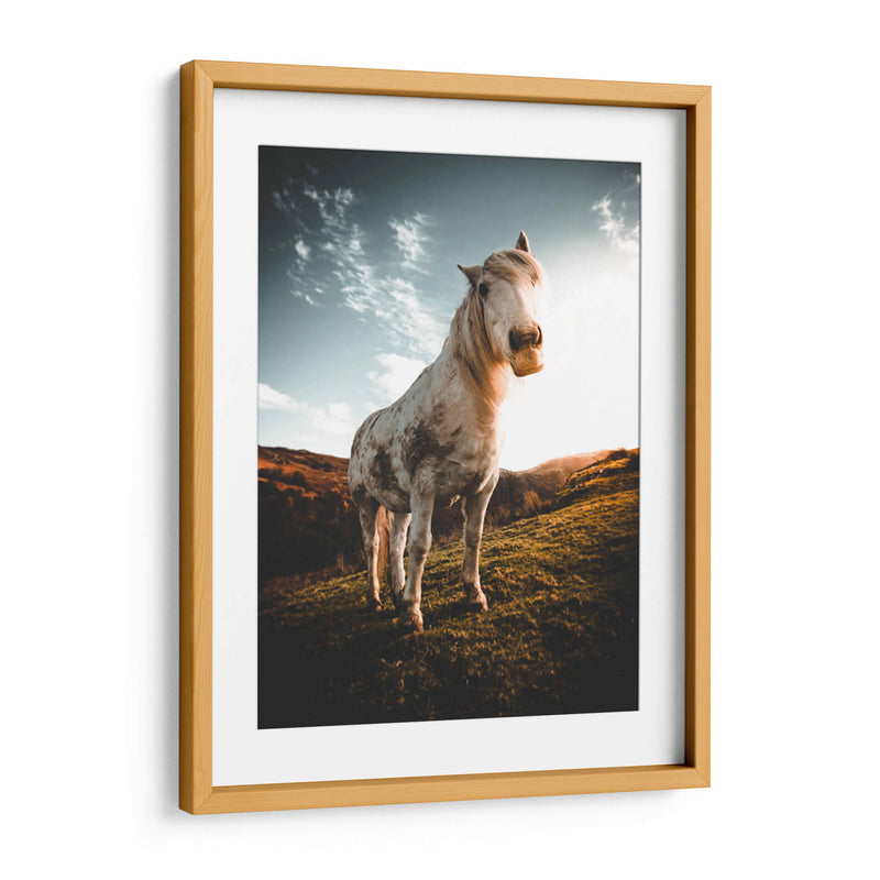 Caballo en la montaña | Cuadro decorativo de Canvas Lab