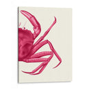 Cangrejo Contrastante En Rosa B - Fab Funky | Cuadro decorativo de Canvas Lab