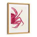 Cangrejo Contrastante En Rosa B - Fab Funky | Cuadro decorativo de Canvas Lab