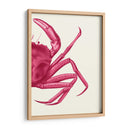 Cangrejo Contrastante En Rosa B - Fab Funky | Cuadro decorativo de Canvas Lab