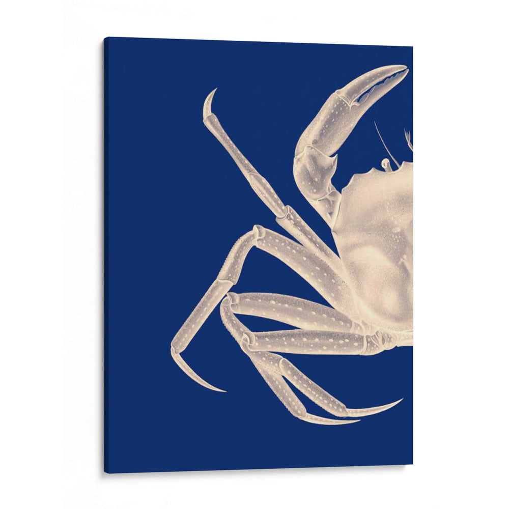 Cangrejo Contrastante En Azul Marino A - Fab Funky | Cuadro decorativo de Canvas Lab