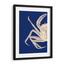 Cangrejo Contrastante En Azul Marino A - Fab Funky | Cuadro decorativo de Canvas Lab