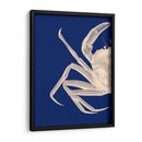 Cangrejo Contrastante En Azul Marino A - Fab Funky | Cuadro decorativo de Canvas Lab