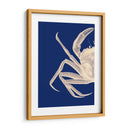 Cangrejo Contrastante En Azul Marino A - Fab Funky | Cuadro decorativo de Canvas Lab