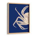 Cangrejo Contrastante En Azul Marino A - Fab Funky | Cuadro decorativo de Canvas Lab