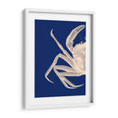 Cangrejo Contrastante En Azul Marino A - Fab Funky | Cuadro decorativo de Canvas Lab