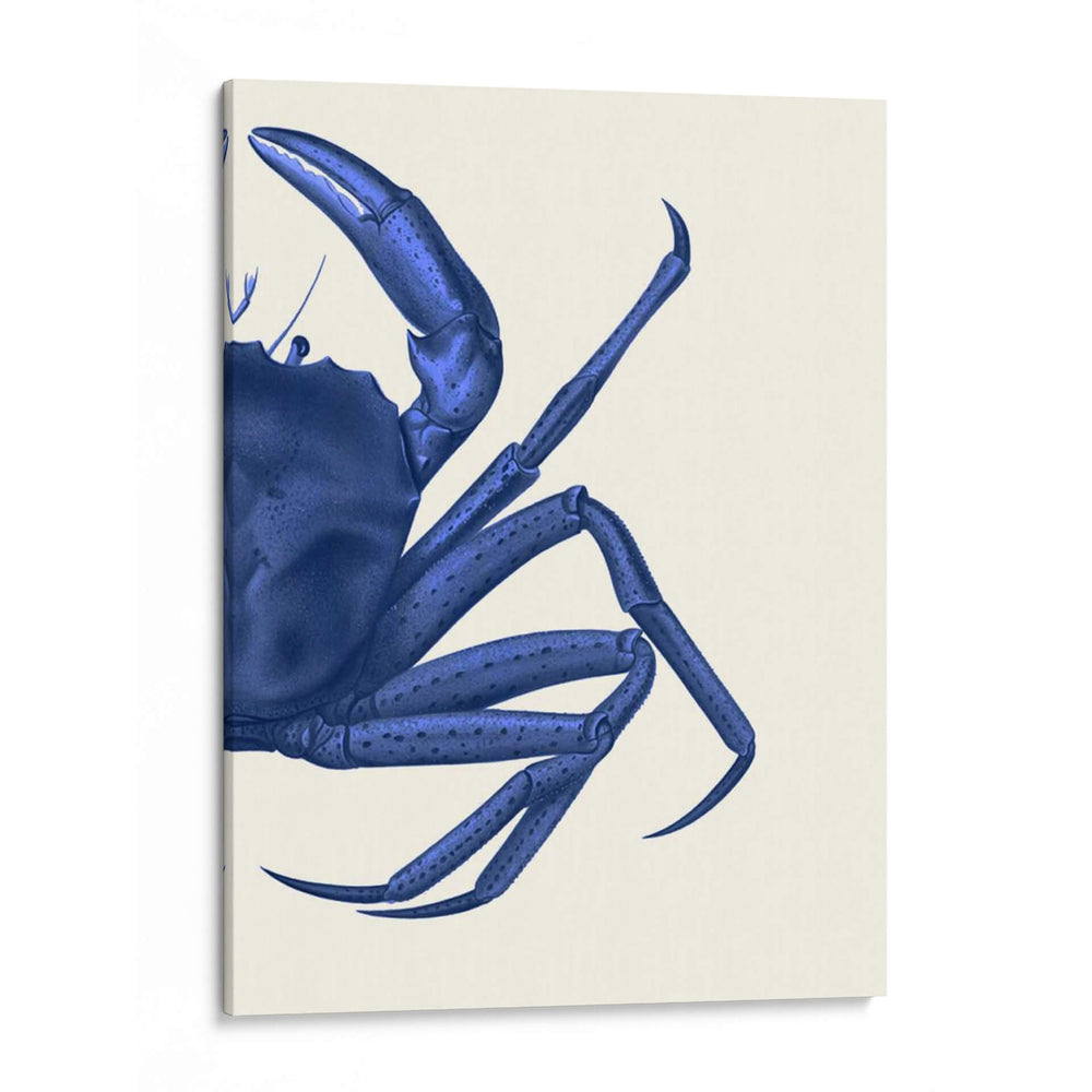 Cangrejo Contrastante En Azul Marino B - Fab Funky | Cuadro decorativo de Canvas Lab