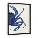 Cangrejo Contrastante En Azul Marino B - Fab Funky | Cuadro decorativo de Canvas Lab