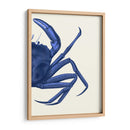 Cangrejo Contrastante En Azul Marino B - Fab Funky | Cuadro decorativo de Canvas Lab