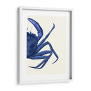 Cangrejo Contrastante En Azul Marino B - Fab Funky | Cuadro decorativo de Canvas Lab