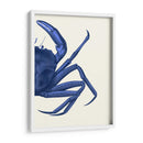 Cangrejo Contrastante En Azul Marino B - Fab Funky | Cuadro decorativo de Canvas Lab