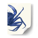 Cangrejo Contrastante En Azul Marino B - Fab Funky | Cuadro decorativo de Canvas Lab