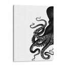 Octopus Blanco Y Negro A - Fab Funky | Cuadro decorativo de Canvas Lab
