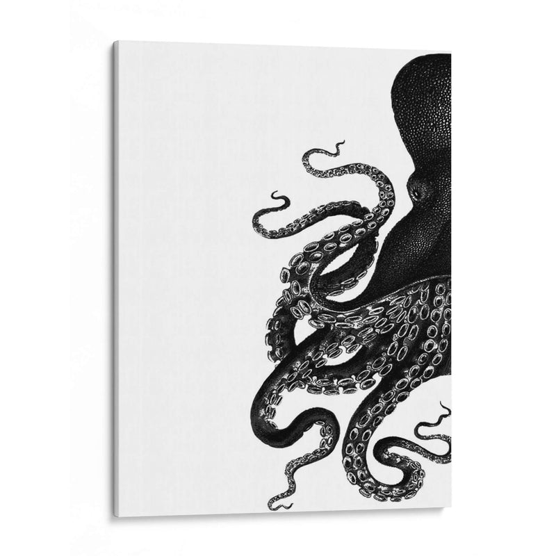 Octopus Blanco Y Negro A - Fab Funky | Cuadro decorativo de Canvas Lab