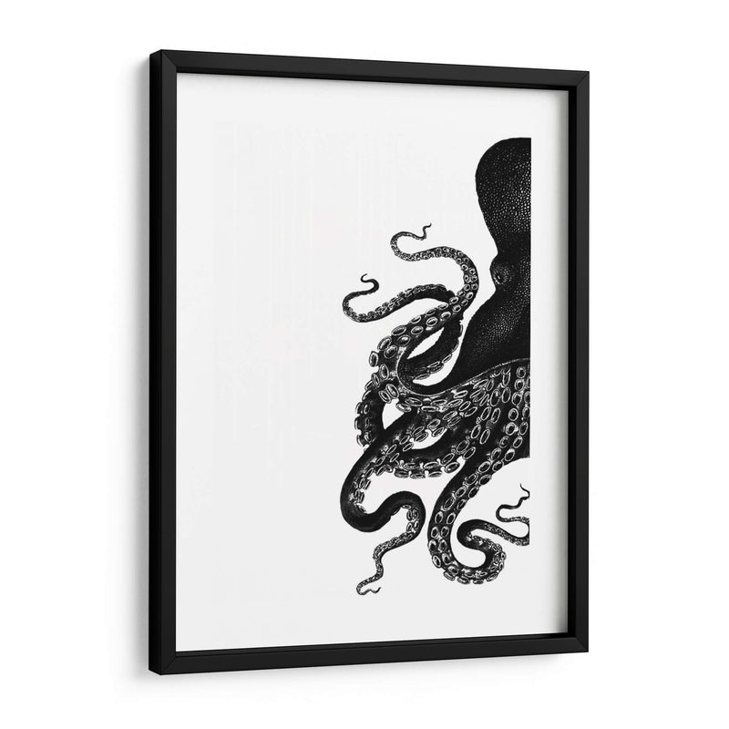 Octopus Blanco Y Negro A - Fab Funky | Cuadro decorativo de Canvas Lab