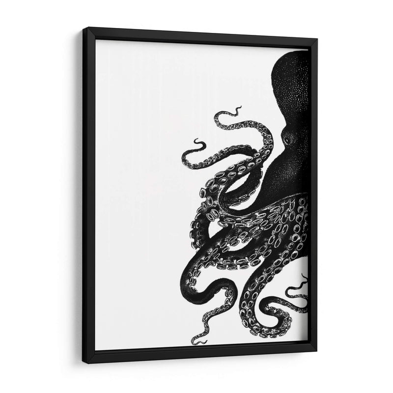 Octopus Blanco Y Negro A - Fab Funky | Cuadro decorativo de Canvas Lab