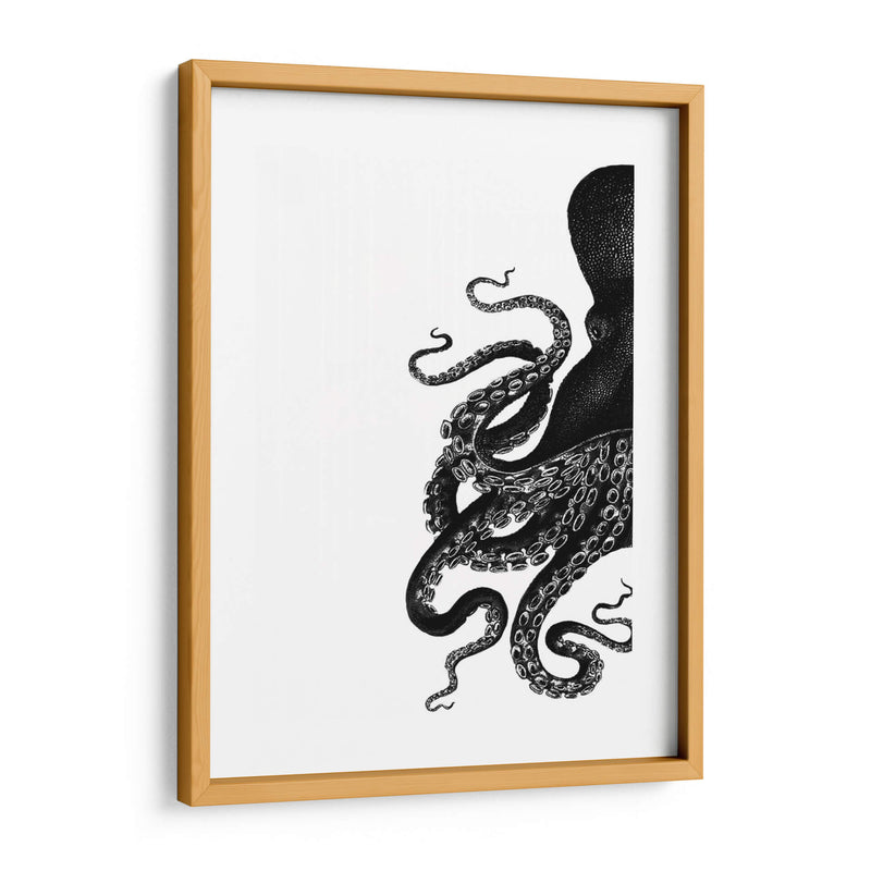 Octopus Blanco Y Negro A - Fab Funky | Cuadro decorativo de Canvas Lab