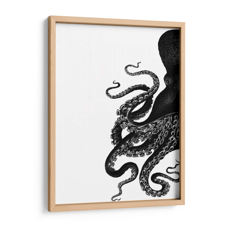 Octopus Blanco Y Negro A - Fab Funky | Cuadro decorativo de Canvas Lab
