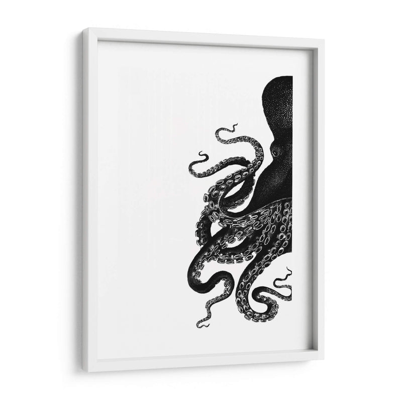 Octopus Blanco Y Negro A - Fab Funky | Cuadro decorativo de Canvas Lab