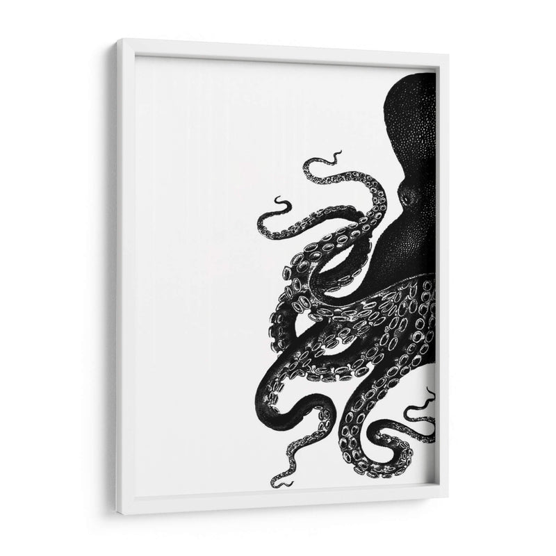 Octopus Blanco Y Negro A - Fab Funky | Cuadro decorativo de Canvas Lab
