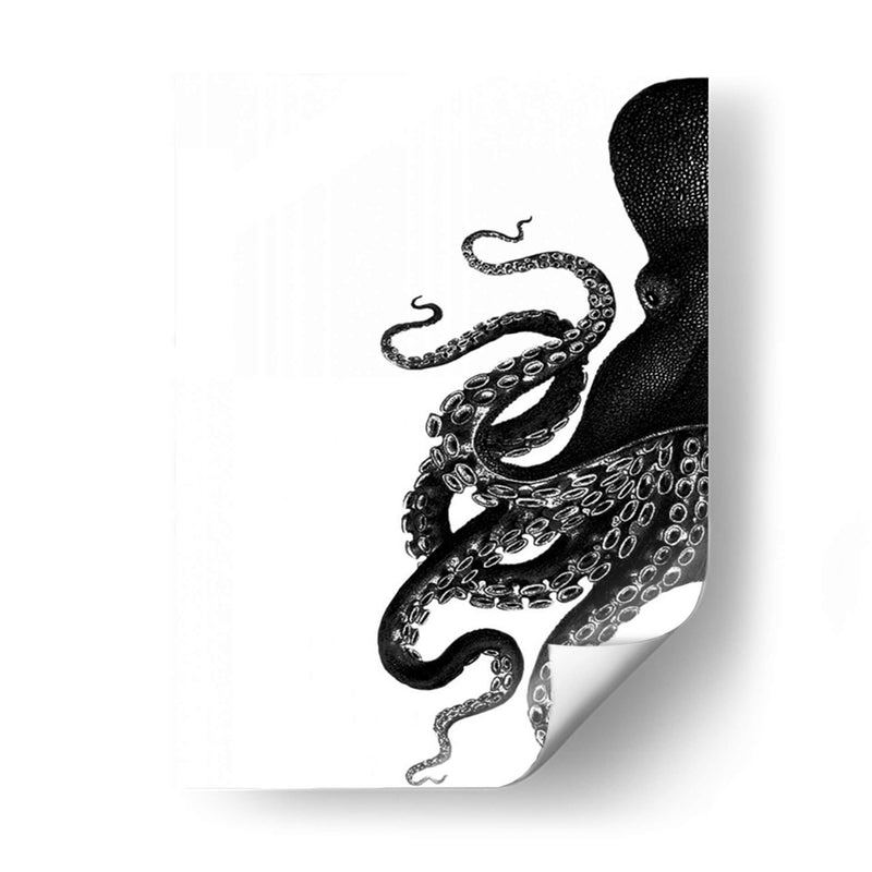 Octopus Blanco Y Negro A - Fab Funky | Cuadro decorativo de Canvas Lab