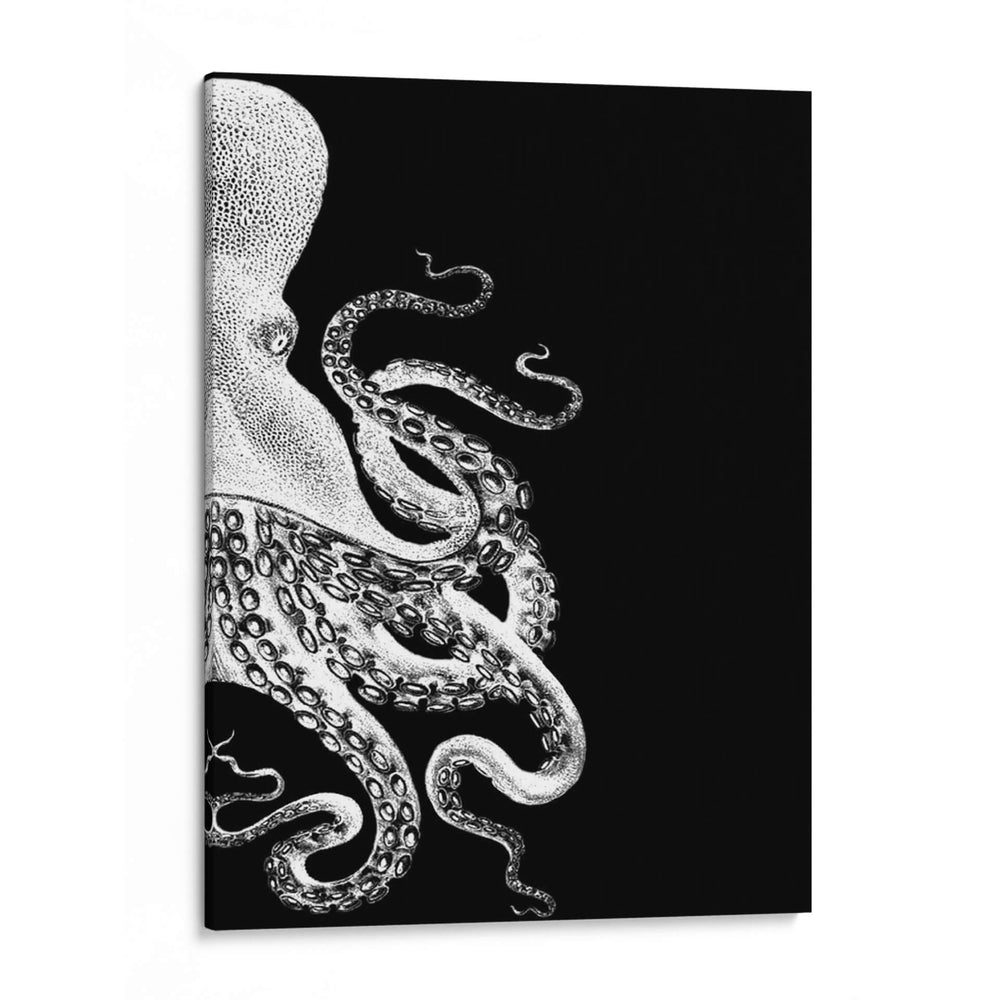 Octopus Blanco Y Negro B - Fab Funky | Cuadro decorativo de Canvas Lab
