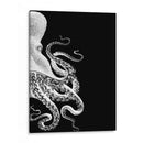 Octopus Blanco Y Negro B - Fab Funky | Cuadro decorativo de Canvas Lab