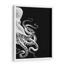 Octopus Blanco Y Negro B - Fab Funky | Cuadro decorativo de Canvas Lab