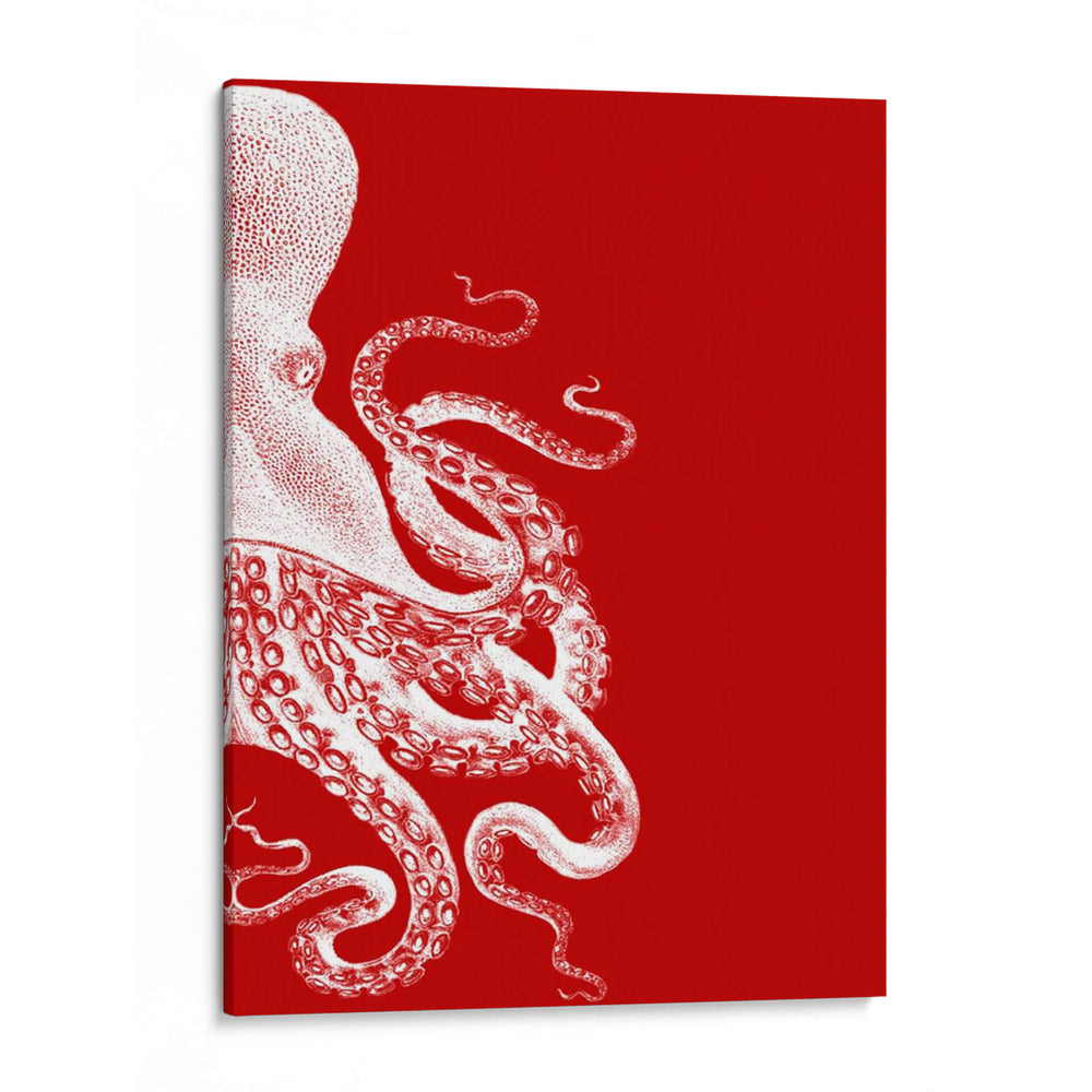 Octopus Rojo Y Blanco B - Fab Funky | Cuadro decorativo de Canvas Lab