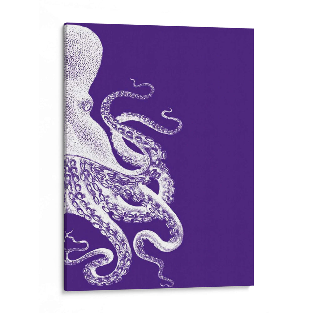 Pulpo Púrpura Y Crema B - Fab Funky | Cuadro decorativo de Canvas Lab
