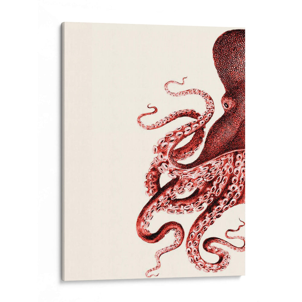 Octopus Coral Y Crema A - Fab Funky | Cuadro decorativo de Canvas Lab