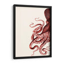 Octopus Coral Y Crema A - Fab Funky | Cuadro decorativo de Canvas Lab