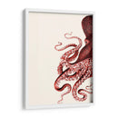 Octopus Coral Y Crema A - Fab Funky | Cuadro decorativo de Canvas Lab