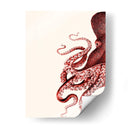 Octopus Coral Y Crema A - Fab Funky | Cuadro decorativo de Canvas Lab