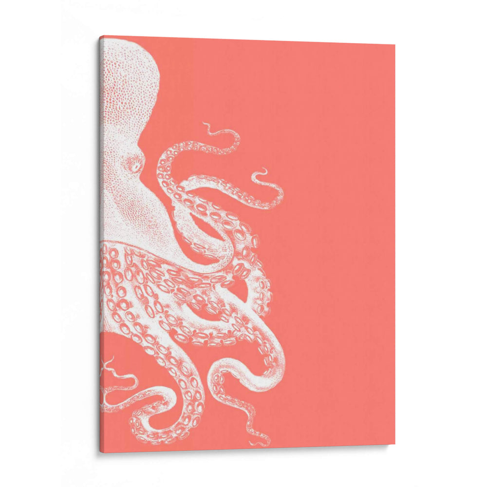 Octopus Coral Y Crema B - Fab Funky | Cuadro decorativo de Canvas Lab