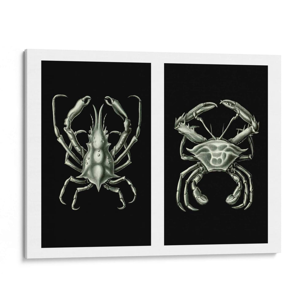 Cangrejos En Negro En 2 Paneles - Fab Funky | Cuadro decorativo de Canvas Lab