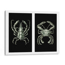 Cangrejos En Negro En 2 Paneles - Fab Funky | Cuadro decorativo de Canvas Lab